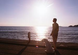 犬用サプリメントとはどのようなものか
