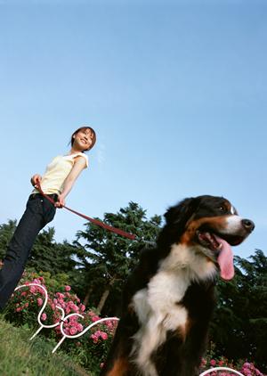 かわいいウエスティーのブリーダー